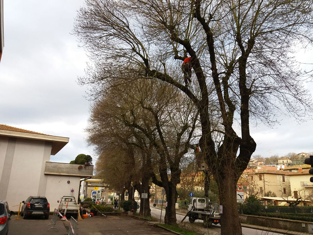 i nostri lavori-11